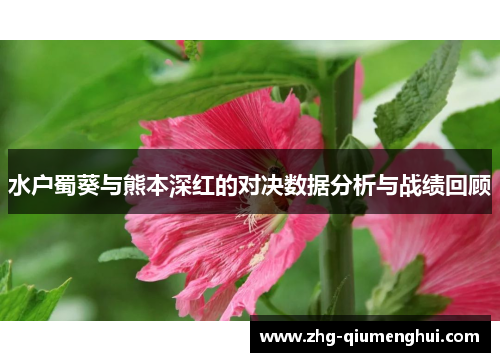 水户蜀葵与熊本深红的对决数据分析与战绩回顾